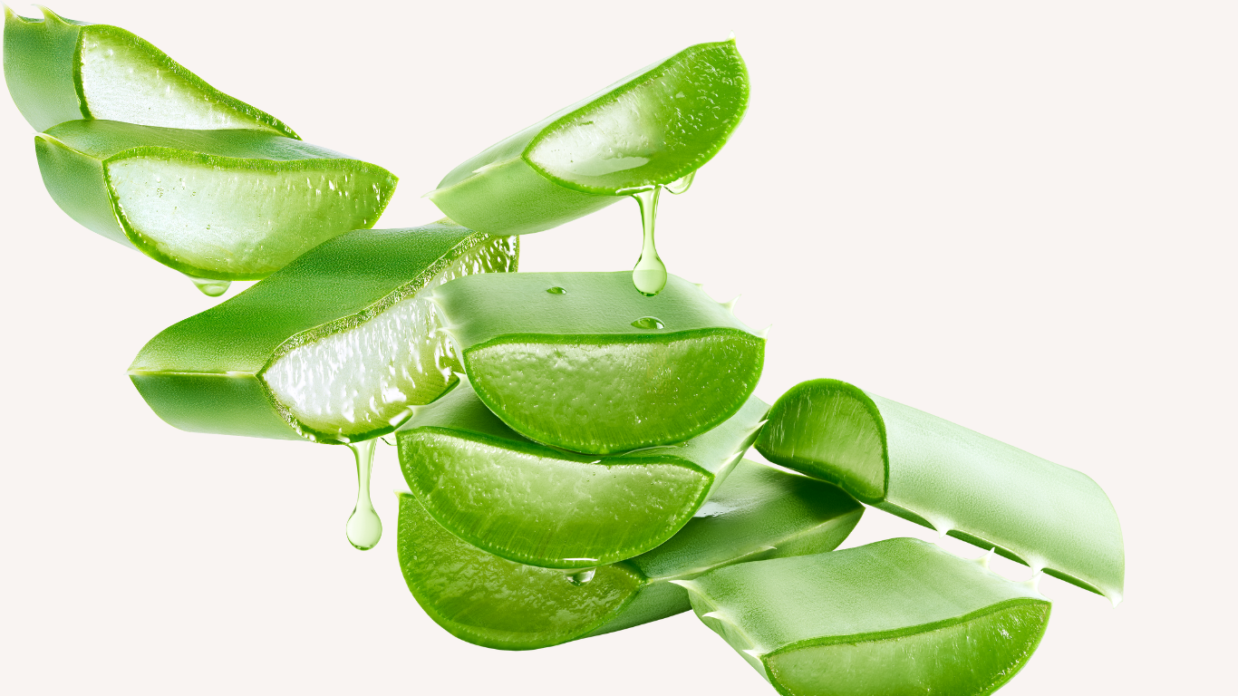 The Powerful Benefits of Aloe Vera in Soap