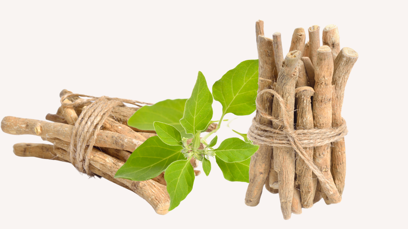 Discover the Transformative Benefits of Ashwagandha in Skincare