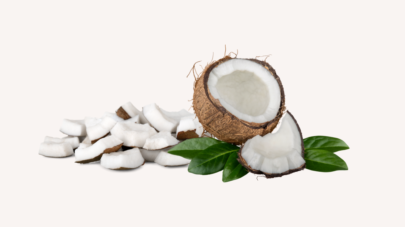 The Wonders of Coconut Oil in Pet Soap