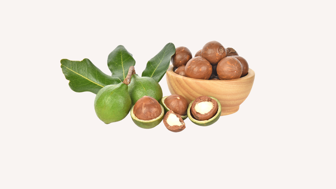 The Benefits of Macadamia Nut Oil in Skincare